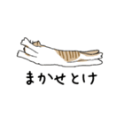 どろぼうひげ猫（個別スタンプ：2）