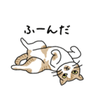 どろぼうひげ猫（個別スタンプ：4）