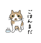 どろぼうひげ猫（個別スタンプ：9）