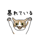 どろぼうひげ猫（個別スタンプ：10）
