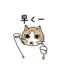 どろぼうひげ猫（個別スタンプ：14）