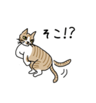どろぼうひげ猫（個別スタンプ：15）