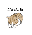 どろぼうひげ猫（個別スタンプ：16）