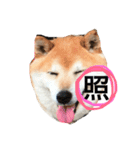 村上さんちのやまと（個別スタンプ：16）