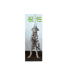 ベンガルねこのはるちゃん あいさつ（個別スタンプ：30）