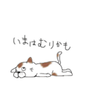 ねこ(日常4)（個別スタンプ：8）