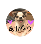 キナゴーと仲間たち第1弾（個別スタンプ：1）