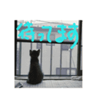 キナゴーと仲間たち第1弾（個別スタンプ：23）