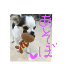 キナゴーと仲間たち第1弾（個別スタンプ：31）