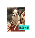 キナゴーと仲間たち第1弾（個別スタンプ：38）