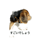 ジャンです（個別スタンプ：8）