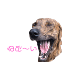 猟師工房スタンプ2（個別スタンプ：4）