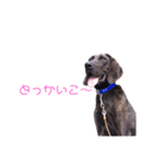 猟師工房スタンプ2（個別スタンプ：7）