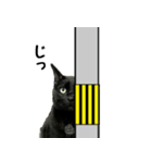 黒猫ケンタロウスタンプ（個別スタンプ：3）