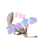 ハイポタンジェリンのモチくん（個別スタンプ：4）