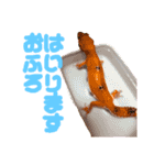 ハイポタンジェリンのモチくん（個別スタンプ：9）