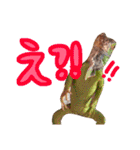 ハイポタンジェリンのモチくん（個別スタンプ：12）