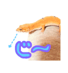 ハイポタンジェリンのモチくん（個別スタンプ：13）