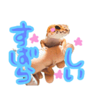 ハイポタンジェリンのモチくん（個別スタンプ：14）