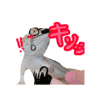 ハイポタンジェリンのモチくん（個別スタンプ：15）
