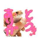 ハイポタンジェリンのモチくん（個別スタンプ：17）