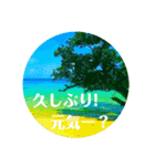 Malaysia island2♡♡[日本語]（個別スタンプ：2）