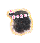 トイプードル ぱんくん（個別スタンプ：6）