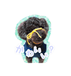 トイプードル ぱんくん（個別スタンプ：17）