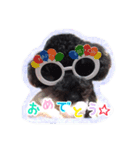 トイプードル ぱんくん（個別スタンプ：20）
