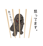 アメコカが好きすぎる！（個別スタンプ：13）