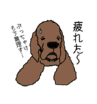 アメコカが好きすぎる！（個別スタンプ：17）