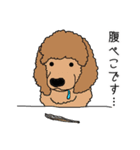 アメコカが好きすぎる！（個別スタンプ：19）