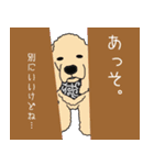 アメコカが好きすぎる！（個別スタンプ：22）