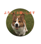 ピースandシオン（個別スタンプ：4）