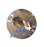 ピースandシオン（個別スタンプ：7）