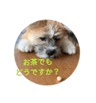 ピースandシオン（個別スタンプ：17）
