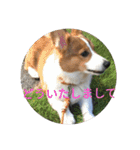 ピースandシオン（個別スタンプ：31）