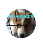 ピースandシオン（個別スタンプ：32）