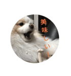ピースandシオン（個別スタンプ：35）