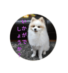 ピースandシオン（個別スタンプ：36）