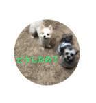ピースandシオン（個別スタンプ：37）