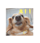 ラム、まめ！（個別スタンプ：2）