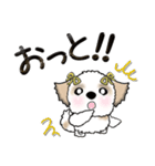 シーズー犬(リボンつけたよ♡) Vol.24（個別スタンプ：17）