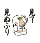 シーズー犬(リボンつけたよ♡) Vol.24（個別スタンプ：37）