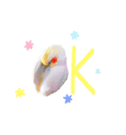 オカメインコのゆずちゃん（個別スタンプ：22）