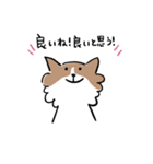 チワワなさくら（個別スタンプ：9）
