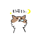 チワワなさくら（個別スタンプ：14）