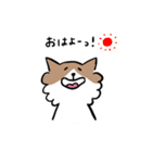 チワワなさくら（個別スタンプ：15）