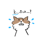 チワワなさくら（個別スタンプ：17）