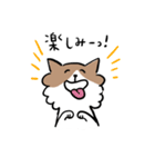 チワワなさくら（個別スタンプ：19）